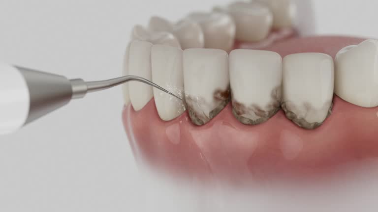 Reliable Dental contractor in Rolette County County, ND by Dentist Open Now